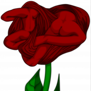 Über die Twilight-Filme